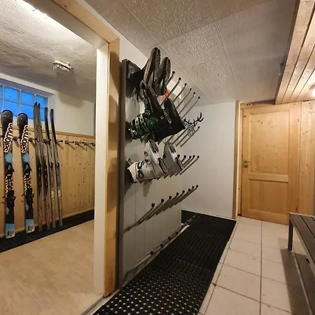 Lägenhet Alpen Near Saalbach & Zell Am - Incl Sommercard Viehhofen