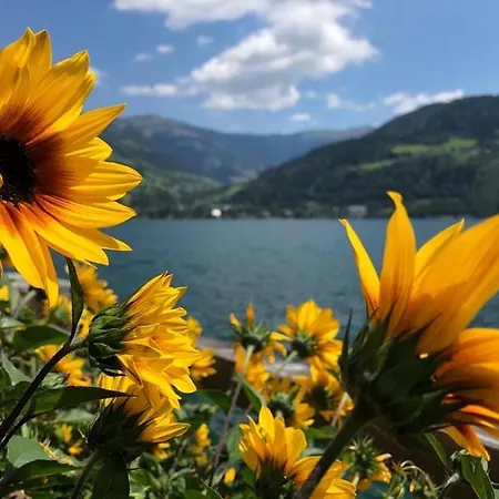 Alpen - Incl Sommercard Zell Am Apartment