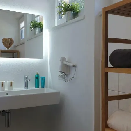 Alpen Near Saalbach & Zell Am - Incl Sommercard Viehhofen