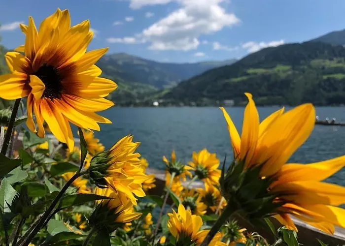 Alpen Near Saalbach & Zell Am - Incl Sommercard Appartamento